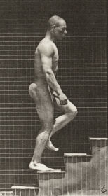 Plate 91 Ascending stairs — figure reference